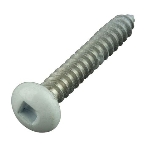 white sheet metal screws|white painted stainless steel screws.